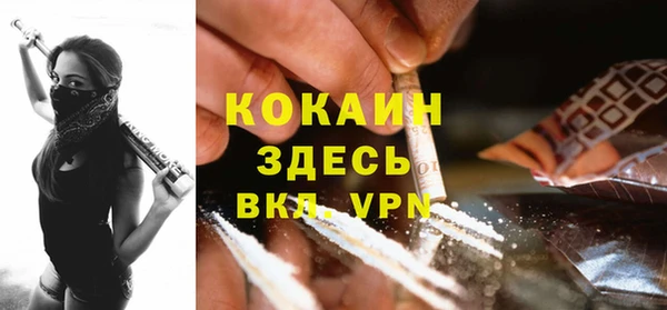 сатива Богданович