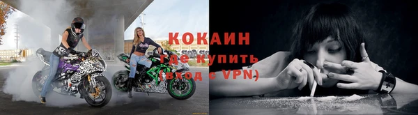 сатива Богданович