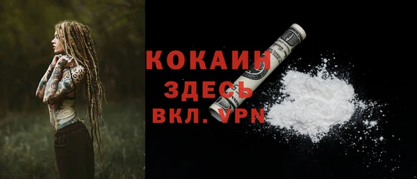 сатива Богданович