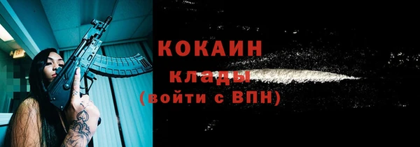 сатива Богородицк