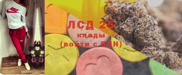 сатива Богородицк