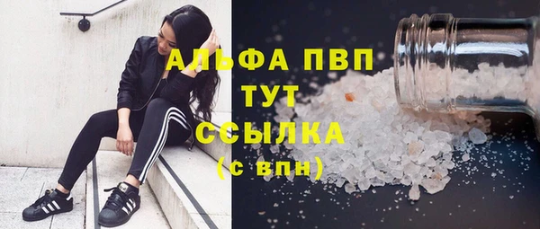 сатива Богданович