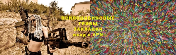 сатива Богородицк