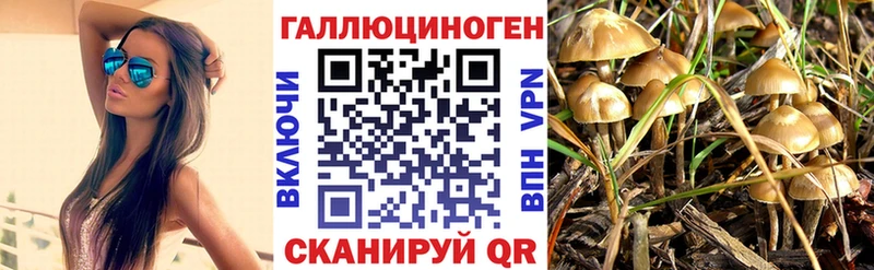 Галлюциногенные грибы GOLDEN TEACHER  закладки  Нижний Тагил 